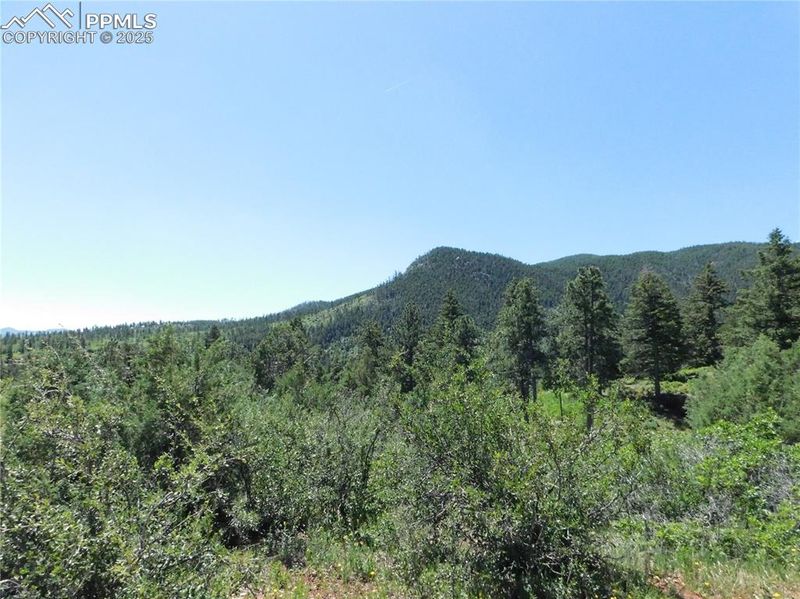 5900 Pawnee Rd, Larkspur, CO 80118