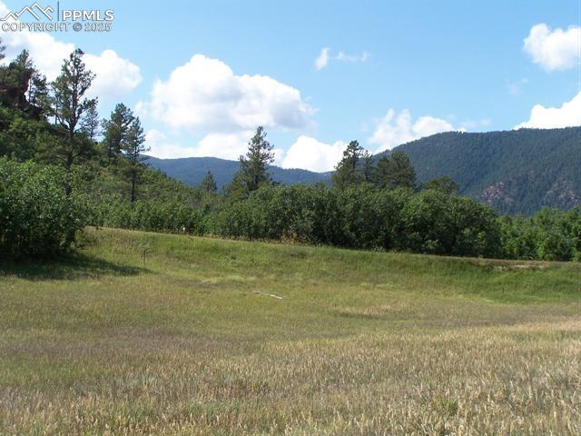 5905 Country Club Dr, Larkspur, CO 80118