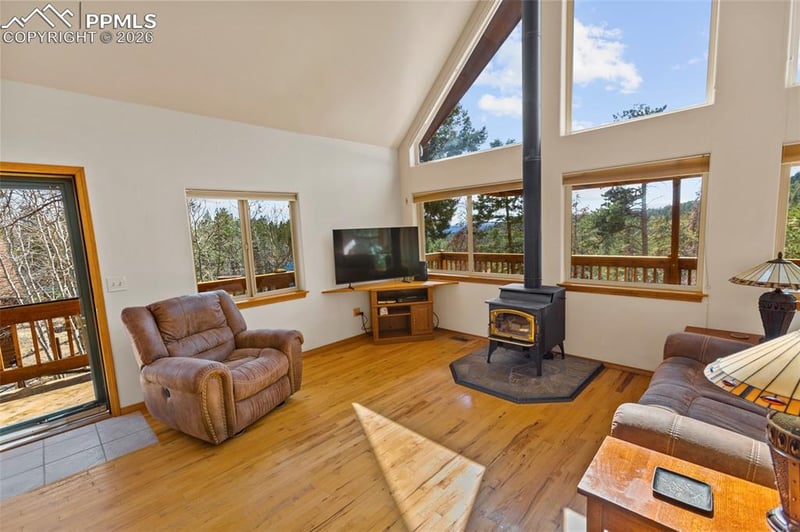 595 Bird Point Rd, Florissant, CO 80816