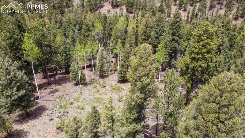 595 Ridge Rd, Divide, CO 80814