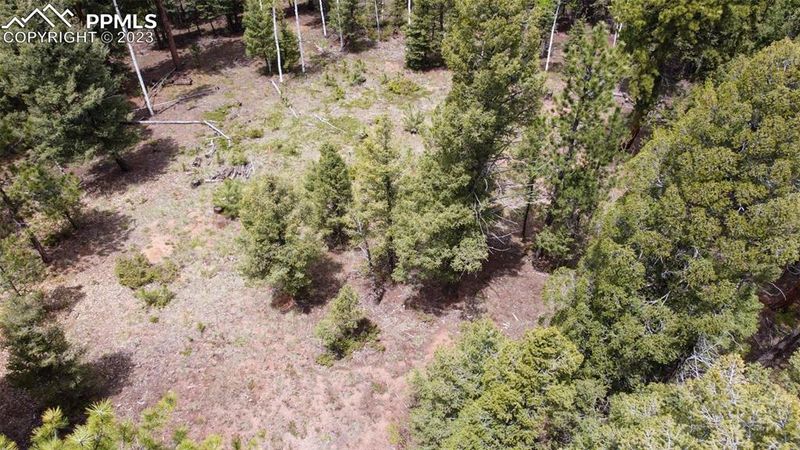 595 Ridge Rd, Divide, CO 80814