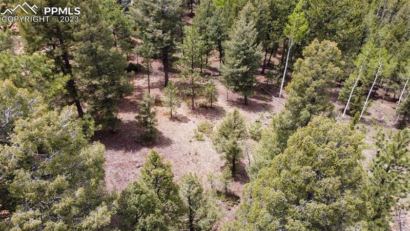595 Ridge Rd, Divide, CO 80814