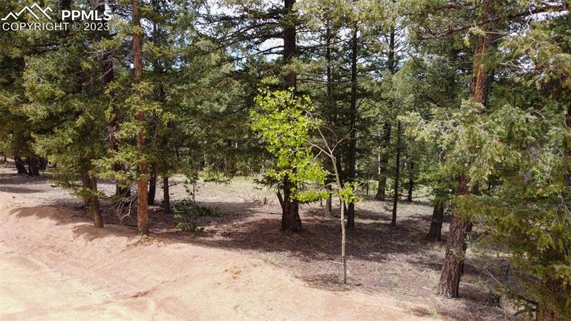 595 Ridge Rd, Divide, CO 80814