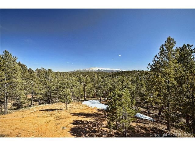 60 Blue Mesa Cir, Divide, CO 80814