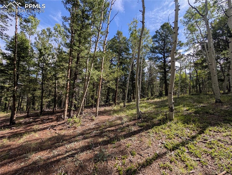 60 Fluorite Ln, Divide, CO 80814