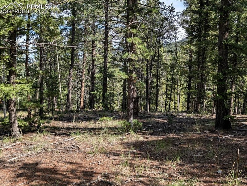 60 Fluorite Ln, Divide, CO 80814