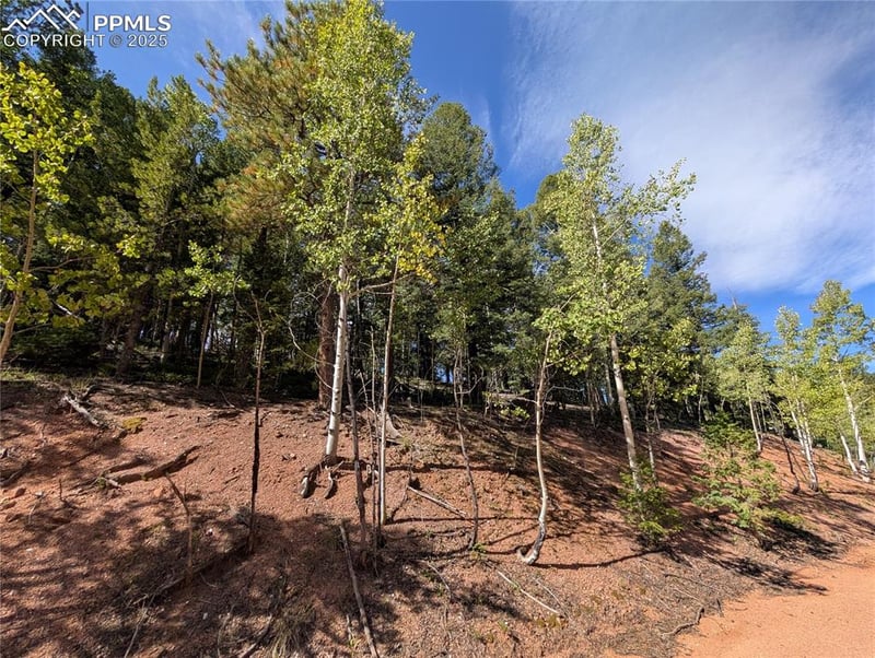 60 Fluorite Ln, Divide, CO 80814
