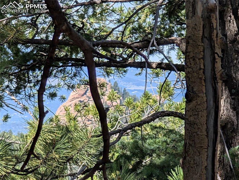 60 Fluorite Ln, Divide, CO 80814