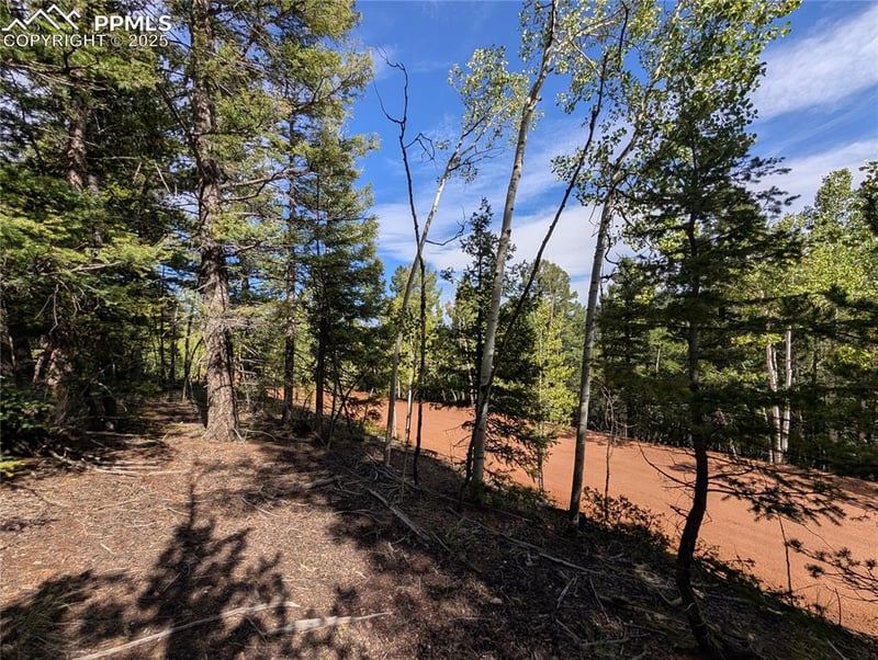 60 Fluorite Ln, Divide, CO 80814