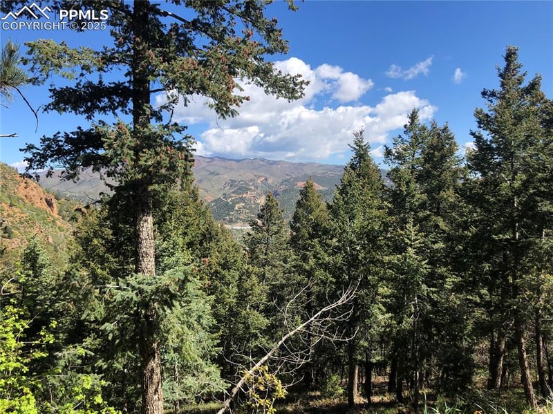 60 Oak Ridge Dr, Manitou Springs, CO 80829