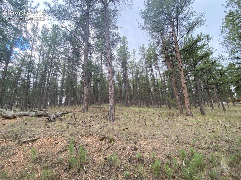 60 Pickens Rd, Florissant, CO 80816