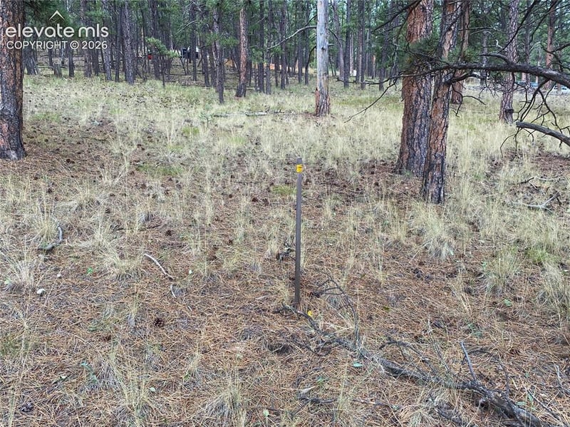 60 Pickens Rd, Florissant, CO 80816
