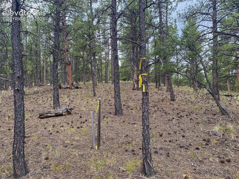 60 Pickens Rd, Florissant, CO 80816