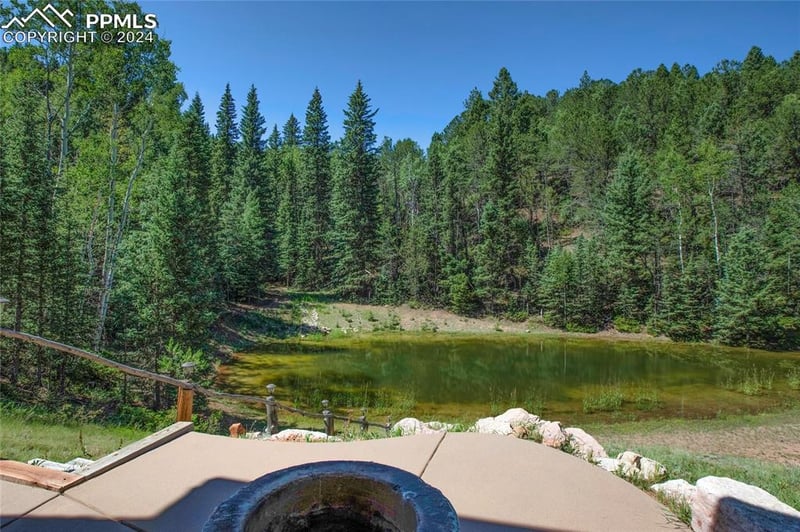 600 Beaver Pond Dr, Divide, CO 80814