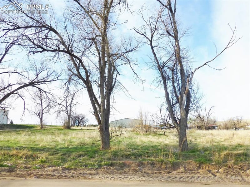 601 Sioux Ave, Simla, CO 80835
