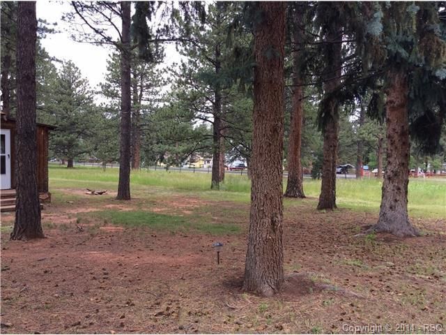 604 N Park Rd, Woodland Park, CO 80863