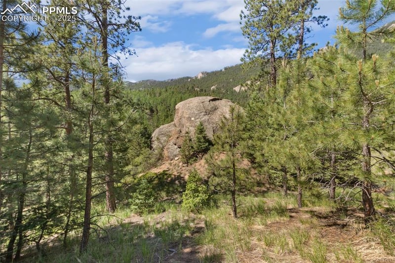 6050 Coffee Pot Rd, Manitou Springs, CO 80829