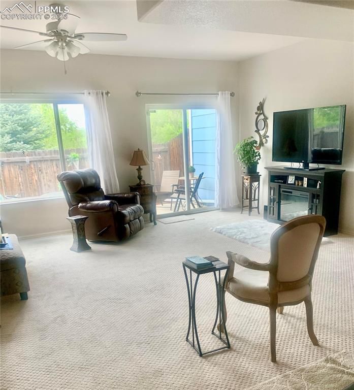 607 Hailey Glenn Vw, Colorado Springs, CO 80916