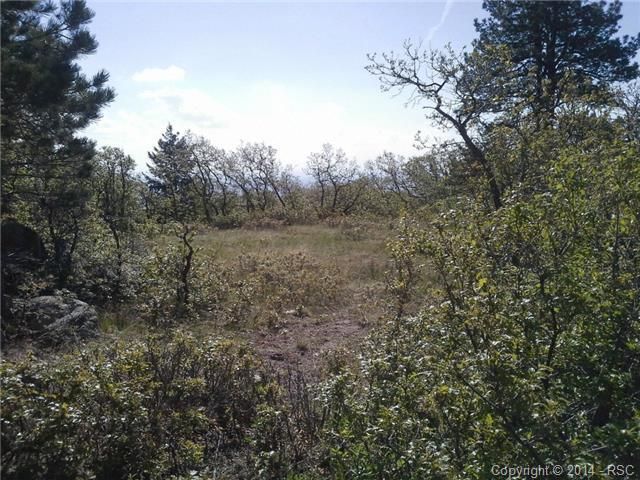 6085 Buttermere Dr, Colorado Springs, CO 80906