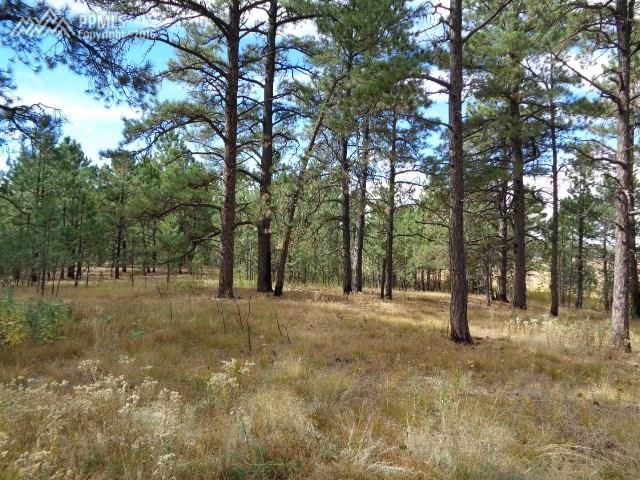 6090 Vessey Rd, Colorado Springs, CO 80908