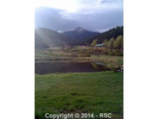 61 County Rd, Divide, CO 80814