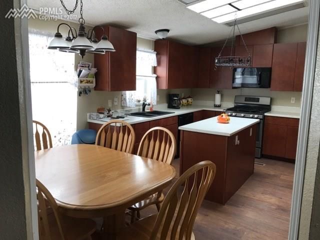 61 Maid Marian Dr, Divide, CO 80814