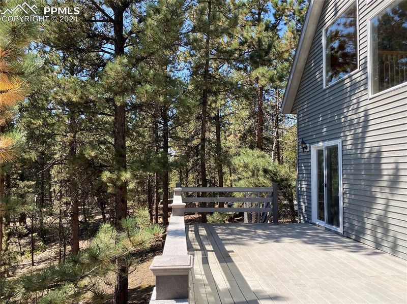 61 Trout Creek Dr, Divide, CO 80814