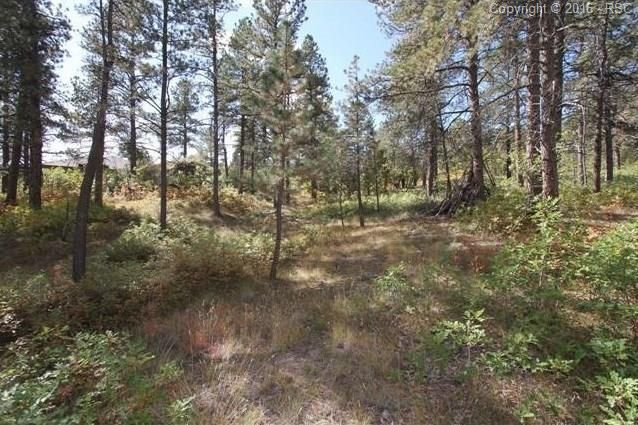 610 Independence Dr, Larkspur, CO 80118