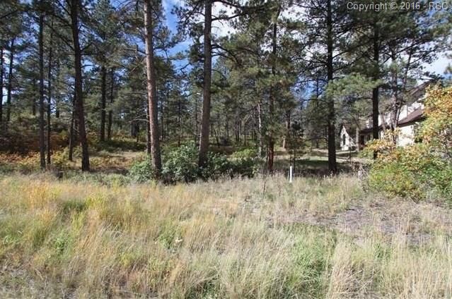 610 Independence Dr, Larkspur, CO 80118