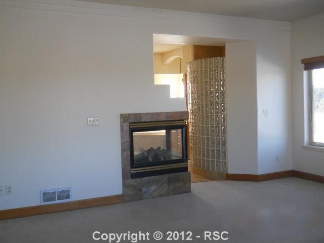 615 E Kings Deer Point, Monument, CO 80132