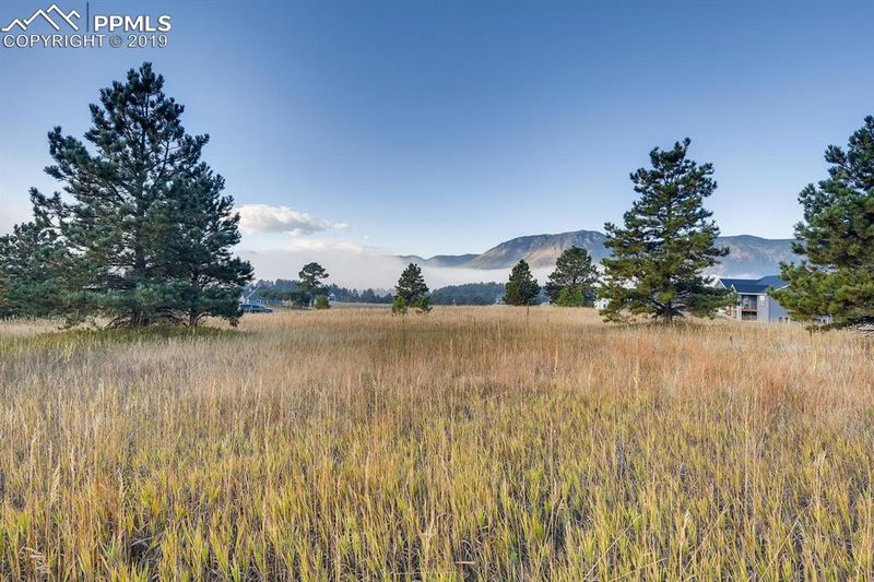 615 Pioneer Camp Vw, Monument, CO 80133