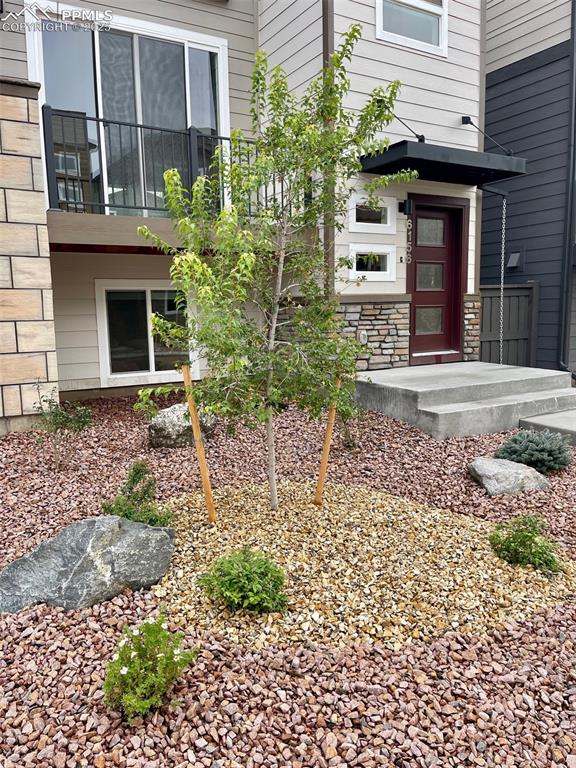 6156 Steele Creek Way, Colorado Springs, CO 80922