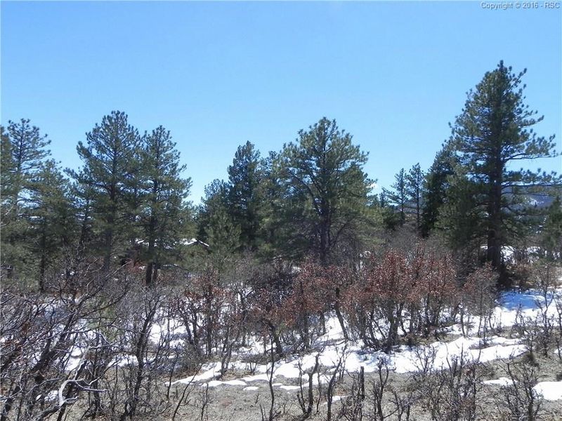 6176 Torrey Pines Dr, Larkspur, CO 80118