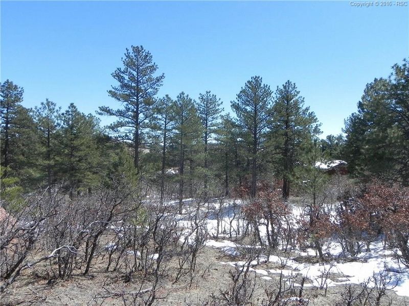 6176 Torrey Pines Dr, Larkspur, CO 80118