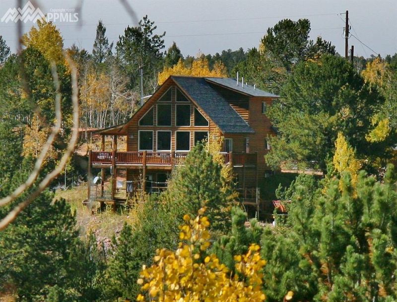 62 Leucite Ln, Divide, CO 80814