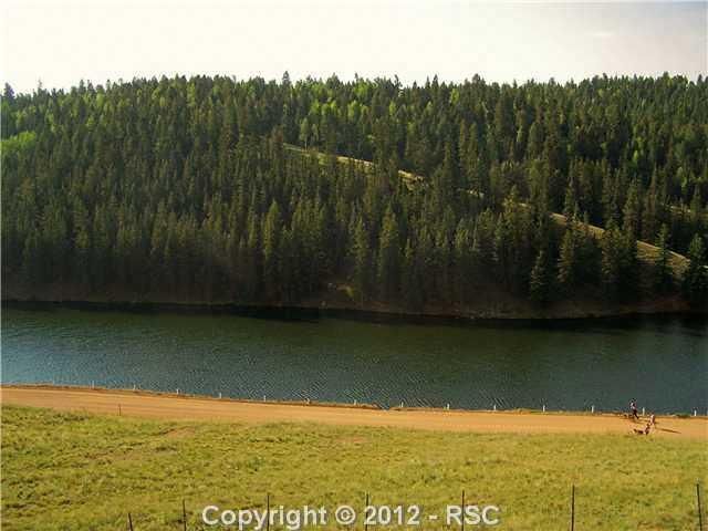 620 Maroon Lake Cir, Divide, CO 80814
