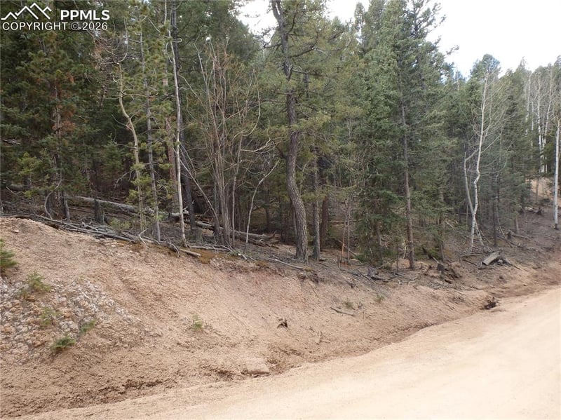 620 Wakanda Trl, Woodland Park, CO 80863