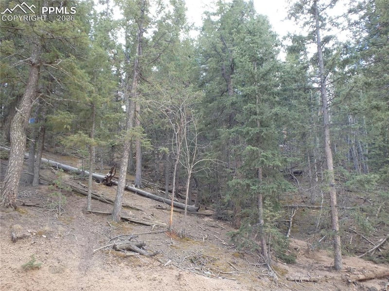 620 Wakanda Trl, Woodland Park, CO 80863