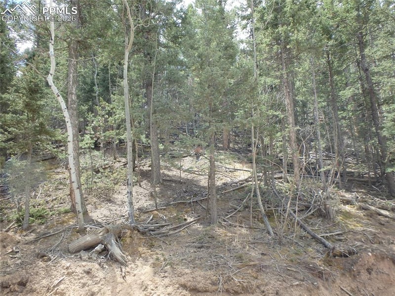 620 Wakanda Trl, Woodland Park, CO 80863