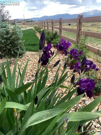 6210 Stonefly Dr, Colorado Springs, CO 80924