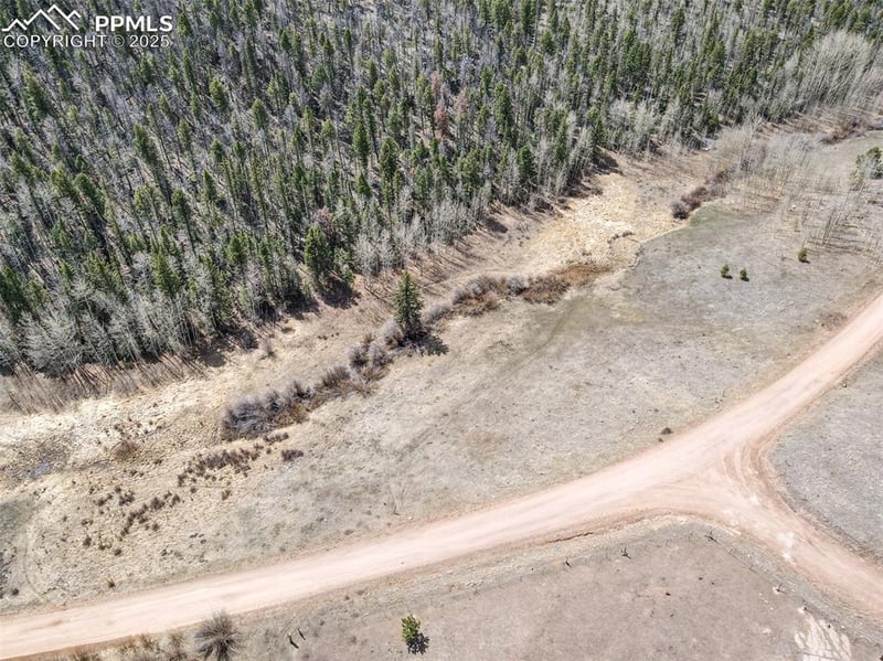 624 Hidden Valley Dr, Florissant, CO 80816