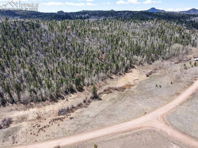 624 Hidden Valley Dr, Florissant, CO 80816