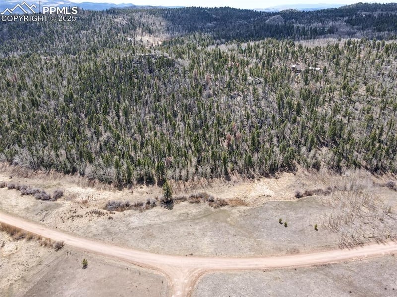 624 Hidden Valley Dr, Florissant, CO 80816