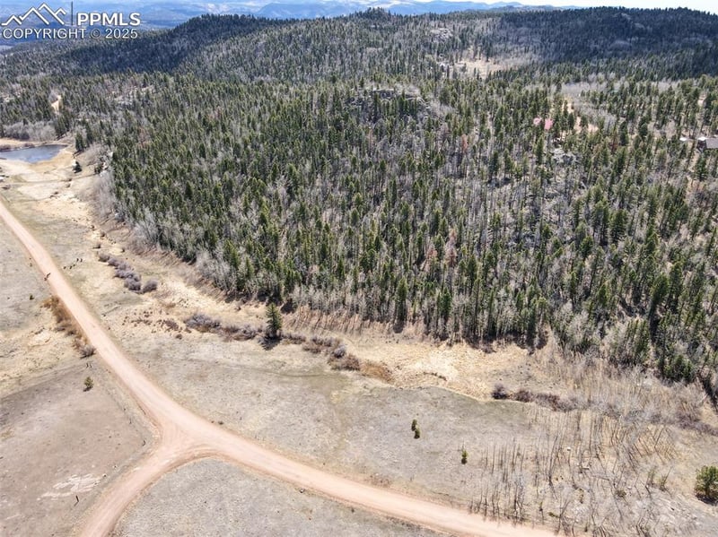 624 Hidden Valley Dr, Florissant, CO 80816