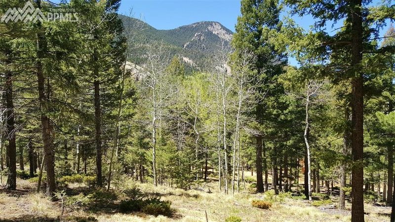 6249 Derby Rock Loop, Manitou Springs, CO 80829