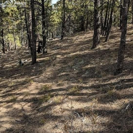 628 Crescent Lake Rd, Golden, CO 80403