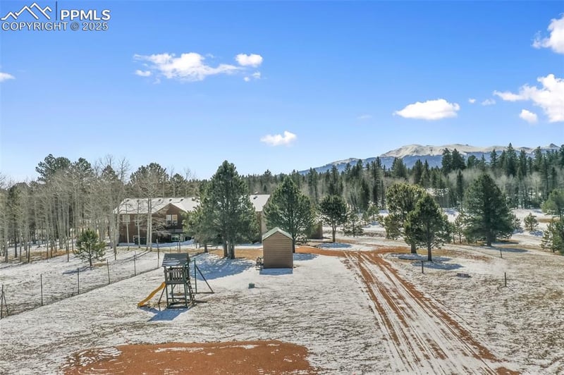 63 Bear Claw Trl, Divide, CO 80814