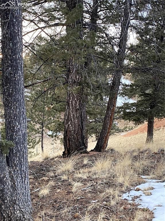 63 Dillon Lake Cir, Divide, CO 80814