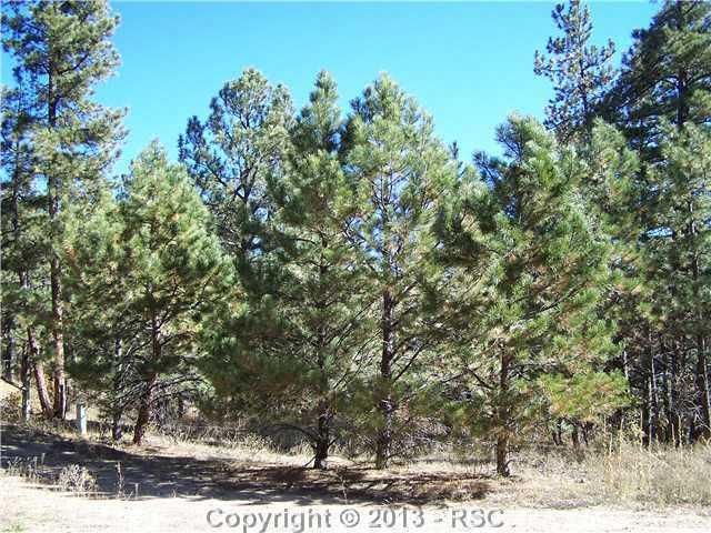 630 Poncho Rd, Larkspur, CO 80118