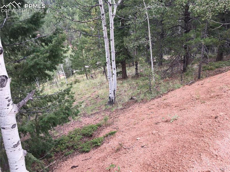 633 Calcite Dr, Divide, CO 80814